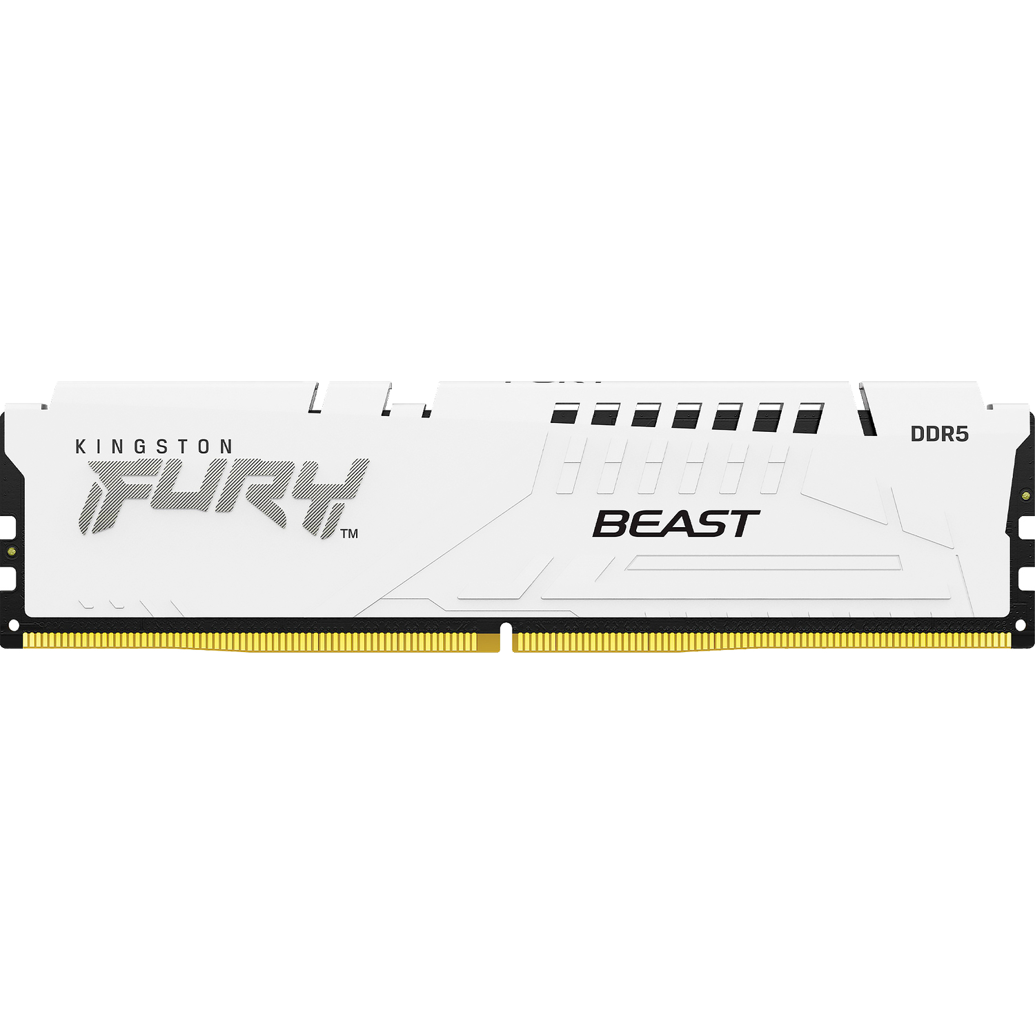 Память оперативная Kingston FURY Beast KF560C30BWE-16