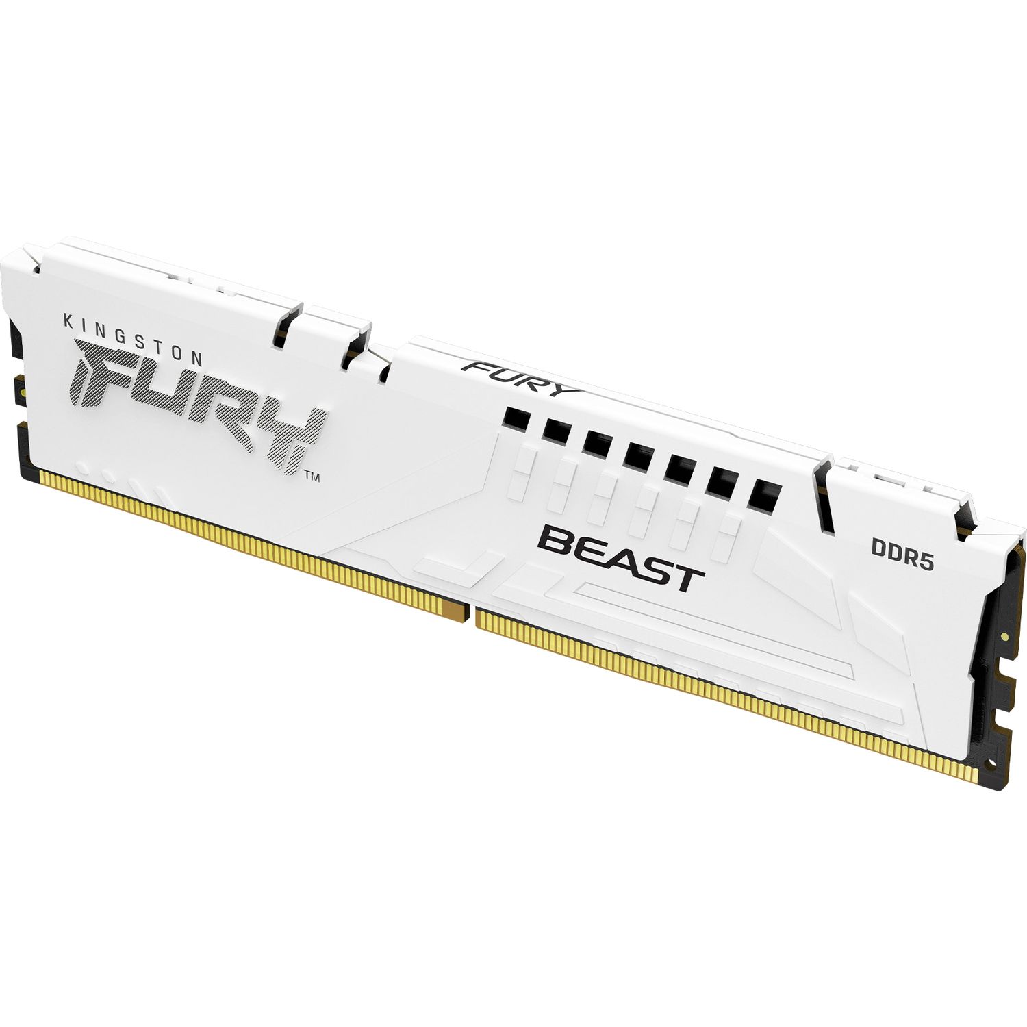 Память оперативная Kingston FURY Beast KF560C30BWE-16